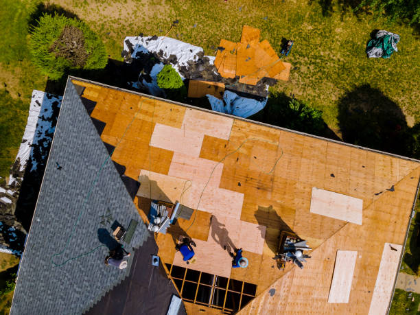 Best Metal Roofing Contractor  in Seadrift, TX